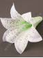 Лилия глубокая хлопок 1сл Н12.5см без тычинки (фиол крас роз син бел-роз)  (тычинка см.2200, 2203)