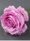 Роза шёлк с пенопластом 10см (бел персик св-роз сир малин борд)
