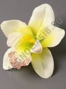 Орхидея хлопок 11см (бел лим мол-роз св-роз роз-сир мал-перс сир гол) 