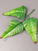 Лист папоротника тройной шелк с темными кончиками 17см