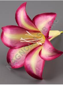 Лилия глубокая сатин 16см с пестиком (бел крас син фиол слив-жел молоч)