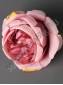 Роза пионовидная флористическая шелк 10см (1.мол 2. крем 3.пеп-роз 4.сир 5.борд 6.роз) 